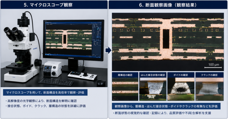 断面観察