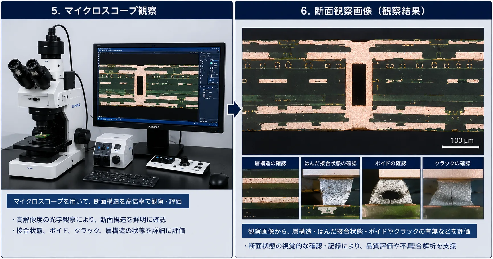 断面観察